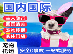 抚远东极机场快运国际宠物托运 【国